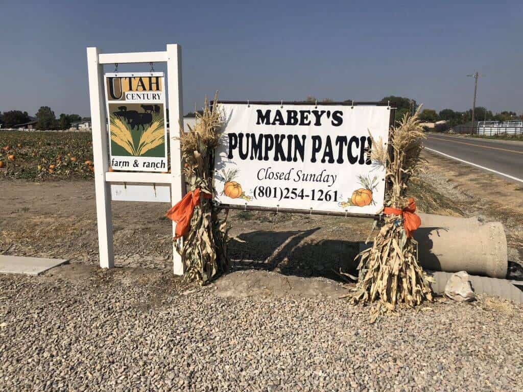 Mabey Farms Pumpkin Patch South Jordan