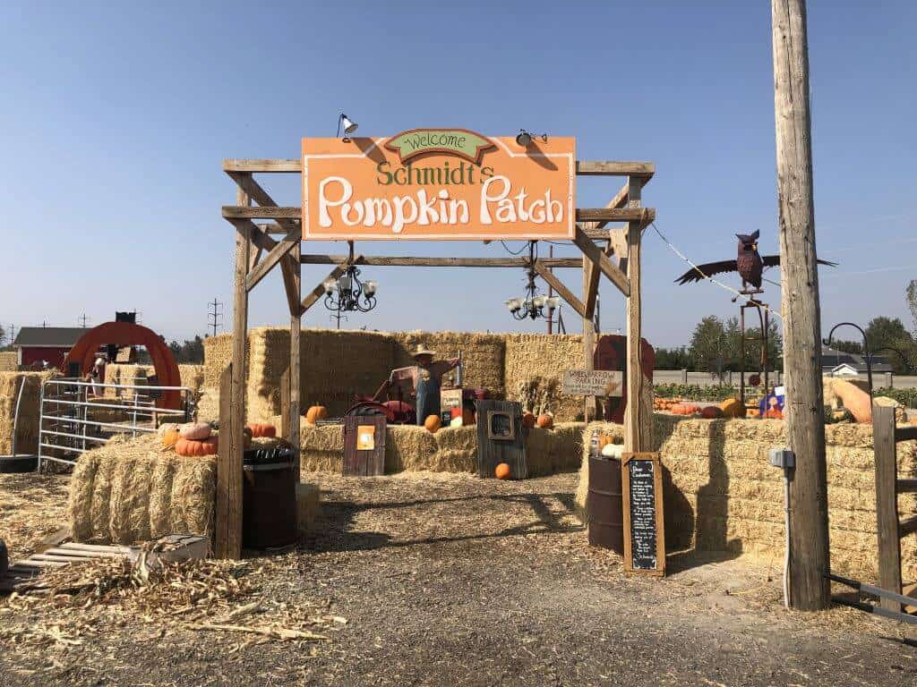 Schmidts Farm & Greenhouse Pumpkin Patch South Jordan