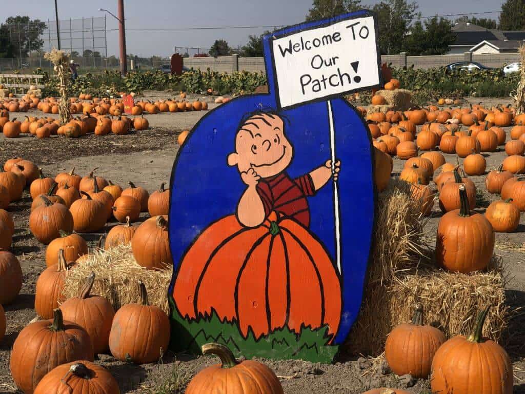 Best pumpkin patches near South Jordan Utah